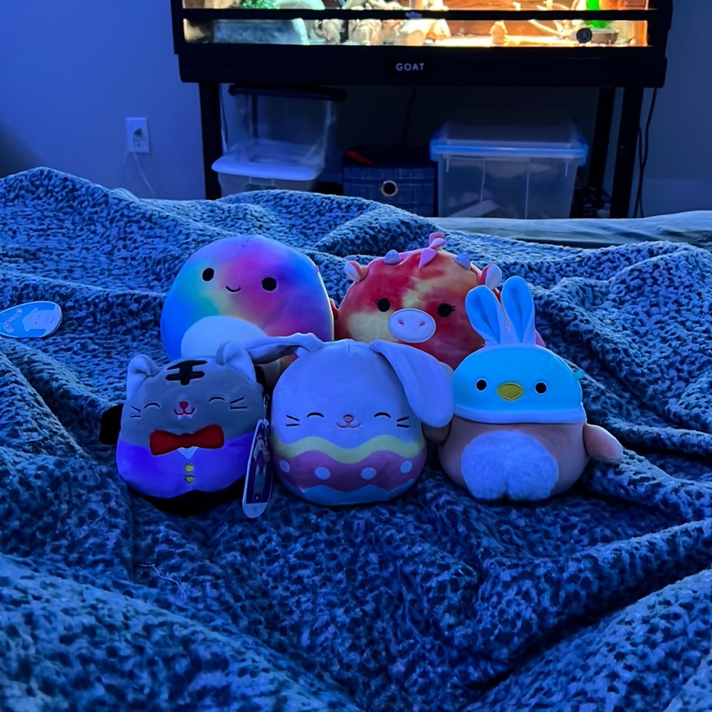 Small Squishmallow BUNDLE!